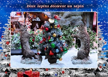 Village du Père Noël (065) Lapins